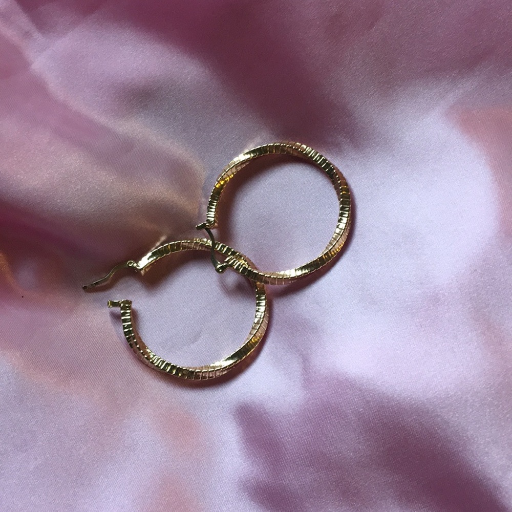 Earring Hoops !